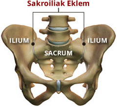 Sakroiliak Sendrom (Disfonksiyon) ve Bacak Eşitleme